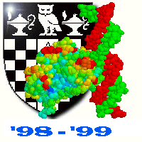 PPS'98 - '99 Main Logo
